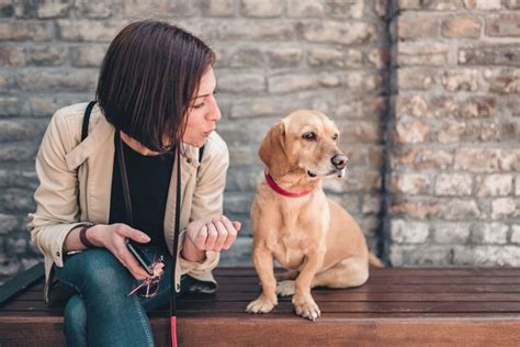 Things You Do That Your Dog Actually Hates Readers Digest