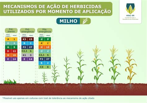 Controle De Plantas Daninhas Resistentes Na Cultura Do Milho Portal