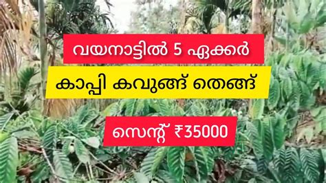 Acre Coffee Arecanut Coconut Farm Land For Sale Wayanad