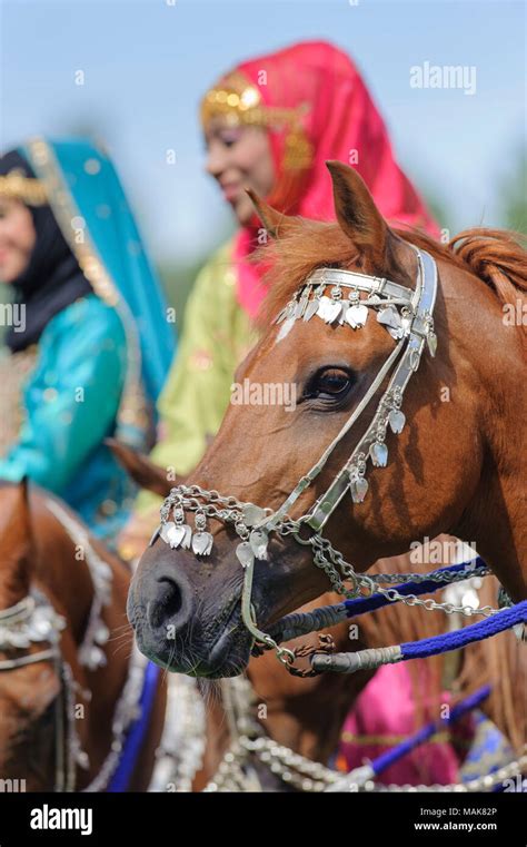 Members Of The Arab Show Group Royal Cavalry Of Oman Ride In