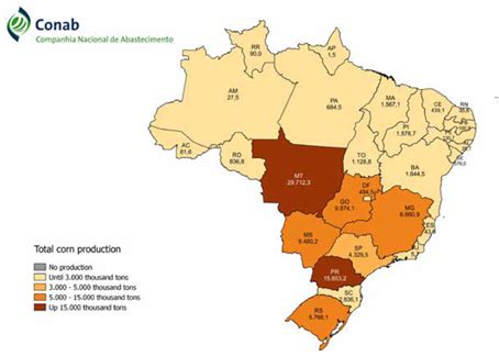 Saiba Tudo Sobre A Produ O De Milho Por Hectare Agrop S