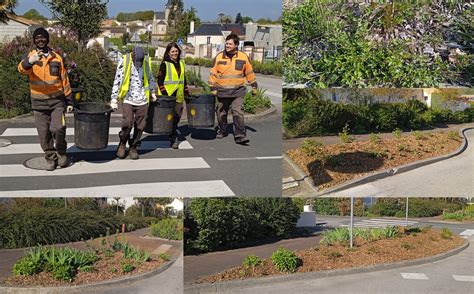 La création des espaces verts Graine d ID