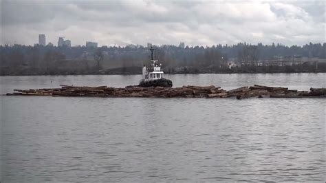 Three Tugs Maneuver A Log Boom Down The Fraser 2022 Youtube