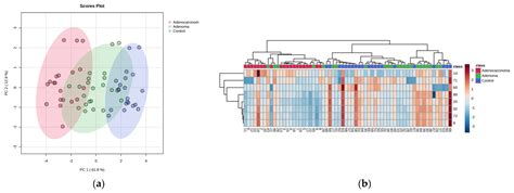 Ijms Free Full Text Comprehensive Insight Into Colorectal Cancer