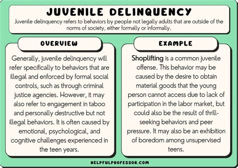 Juvenile Delinquency Definition And 10 Examples 2025