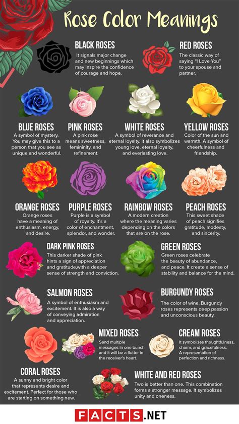 White Rose Meaning Language Of Flowers | Best Flower Site