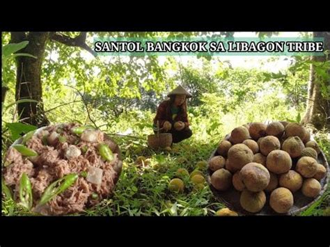 How To Cook Spicy Sinantolan Recipe Or Ginataang Santol Recipe Santol