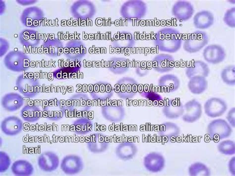 Plasma Darah Dan Trombosit