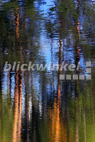 Blickwinkel Baeume Spiegeln Sich Auf Der Wasseroberflaeche Finnland