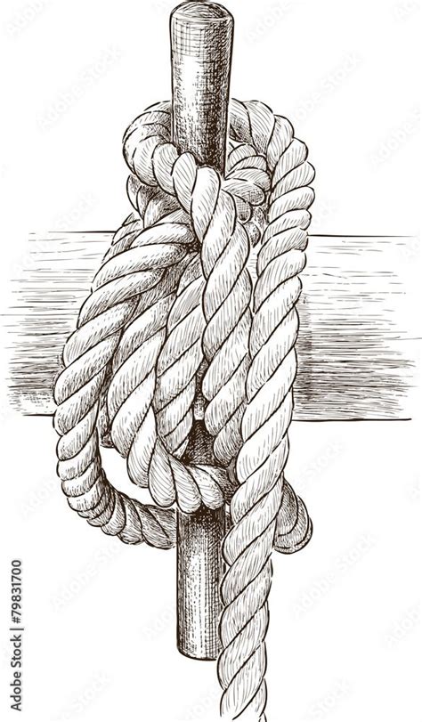 Nautical Rope Knot Drawing Images Browse 2075 Stock Photos Vectors