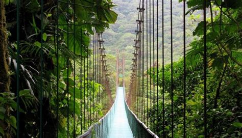 Monteverde Cloud Forest Lodge in Costa Rica