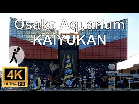 Osaka Aquarium Kaiyukan Osaka Walking View K Ultra Hd Fps Youtube