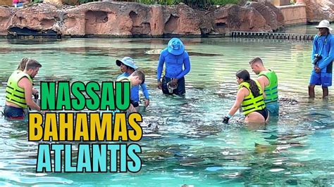 Stingray Lagoon Encounter Nassau Bahamas Atlantis Paradise Island Youtube