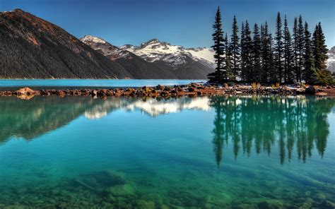 Les Lacs La Mer Les Arbres Les Forêts Les Montagnes Le Papier