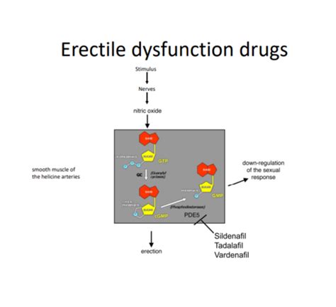 Pharmacology Of Reproduction Lecture 34 Reproduction Drugs Ish