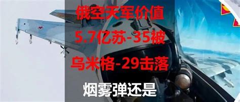 俄空天军价值57亿苏 35被乌军米格 29击落：烟雾弹还是真战况？架战斗机飞行员空战中