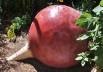 Giant Fruit Vegetable Statues Roadsidearchitecture