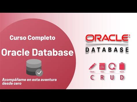 Descubre El Mejor Curso De Bases De Datos Oracle Gratis Aprende De