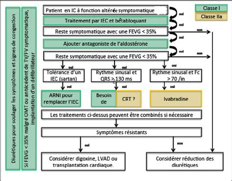 Figure 2 From Recommandations Européennes Concernant La Prise En Charge De L’insuffisance