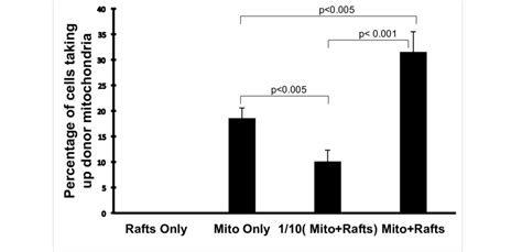 Quantification Of The Efficacy Of The Uptake Of Naked Mitochondria