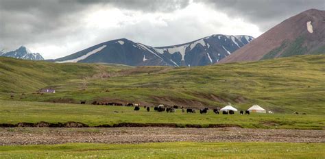 Mongolia Luxury Travel Luxe And Intrepid Asia Remote Lands