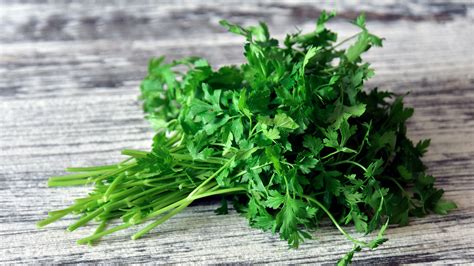 Curly Vs. Flat-Leaf Parsley: What's The Difference?