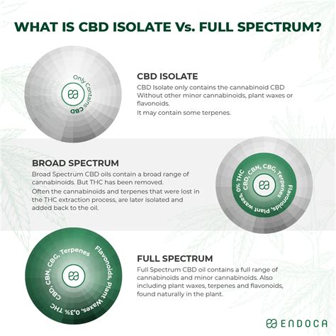 Cbd Isolate Vs Full Spectrum Whats The Difference Endoca© Cbd