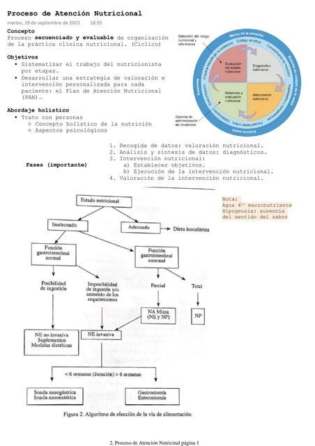 Proceso De Atención Nutricional Claudia Cabrera Caraballo Udocz