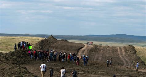 Dakota Access Pipeline Company Misses Deadline to Plant 20,000 Trees ...