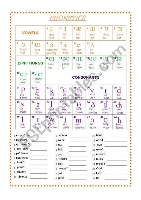 Phonetics ESL Worksheet By Nichi