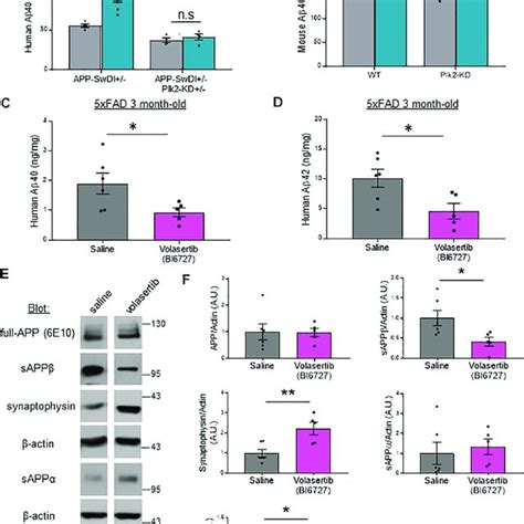 Pharmacological Inhibition Of Plk Kinase Function Rescues Memory