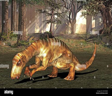 Dinosaurio Iguanodon Fotografías E Imágenes De Alta Resolución Alamy