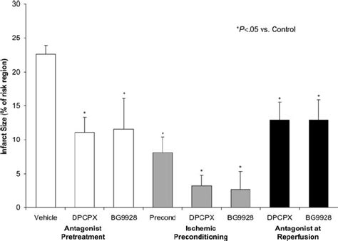 Myocardial Infarct Size Data Infarct Size Expressed As A Percent Of