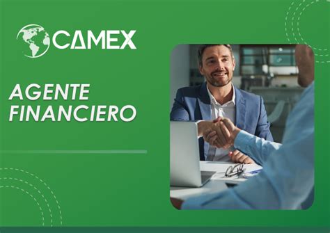 Agente Financiero Online Camex