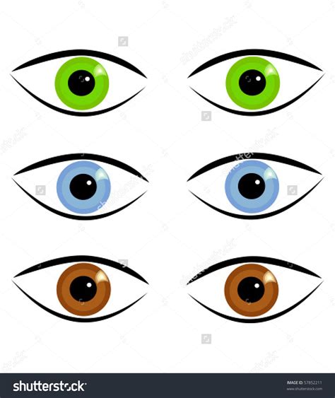 Eye color clipart 20 free Cliparts | Download images on Clipground 2019