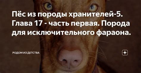 Пёс из породы хранителей-5. Глава 17 - часть первая. Порода для ...