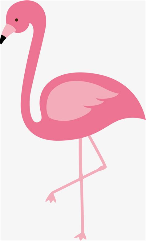 Red Flamingo Vector, Flamingo, Animal, Birds PNG and Vector for Free Download