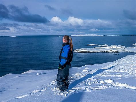 Trabajar en Noruega en una fábrica de pescado El Viaje De Viajes