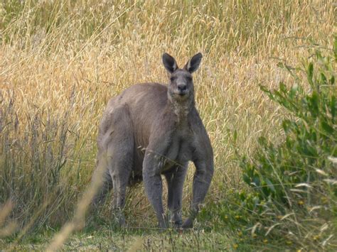 Baxters Wetland 2024 All You Need To Know Before You Go With Photos