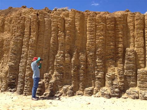 Phillip Island Beaches - Everything You Need To Know | Phillips island, Island beach, Island