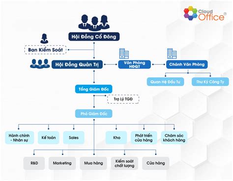 Cơ Cấu Nhân Sự Là Gì Hiểu đúng để Xây Dựng Tổ Chức Hiệu Quả