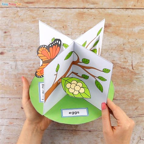 3d Butterfly Life Cycle Craft Easy Peasy And Fun