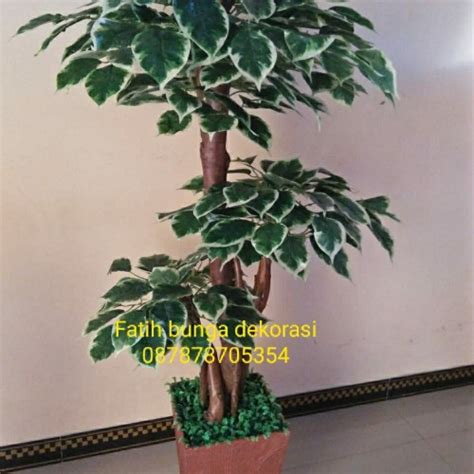 Jual Pohon Bonzai Sinfu Artificial Kota Bogor Fatih Bunga Dekorasi