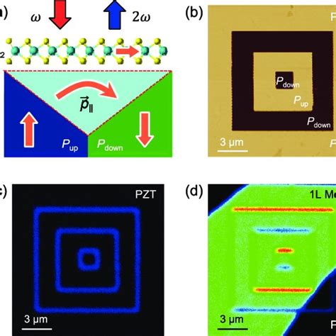 Schematics of key attributes of ferroelectrics and potential ...