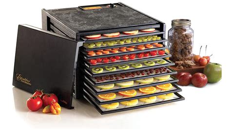 The Best Food Dehydrators In 2022