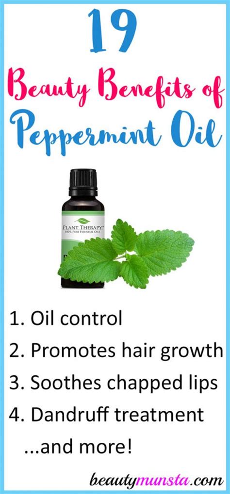 19 Beauty Benefits Of Peppermint Essential Oil Beautymunsta