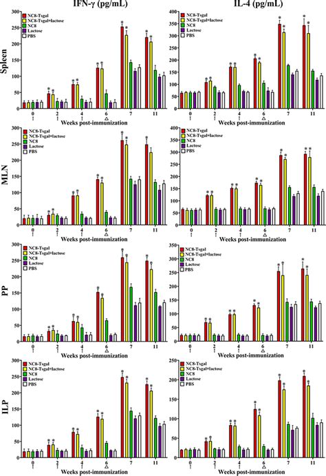 Levels Of Ifn γ And Il 4 Secreted By Spleen Mln Pp And Ilp From Download Scientific Diagram