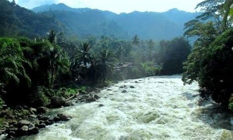 Sungai Asahan Arung Jeram Paling Ekstrem Ketiga Di Dunia Penjelajah