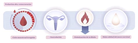 Prolactina alta cómo afecta a la búsqueda de embarazo Next Fertility