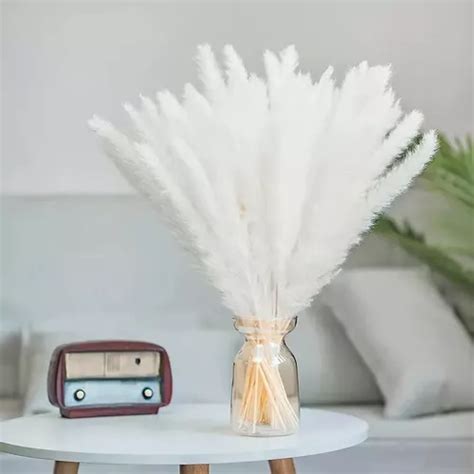 Pampas Secas 32pcs Plantas Decorativas Flores Artificiales MercadoLibre